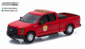 Ford  - 2015  - 1:64 - GreenLight - 29844 - gl29844 | The Diecast Company