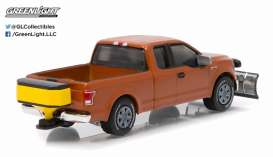 Ford  - 2015  - 1:64 - GreenLight - 29859 - gl29859 | The Diecast Company