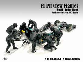 Figures diorama - Team Black #2 2020 silver - 1:18 - American Diorama - 76554 - AD76554 | The Diecast Company