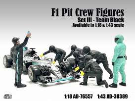 Figures diorama - Team Black #3 2020 silver - 1:18 - American Diorama - 76557 - AD76557 | The Diecast Company