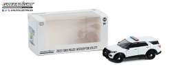 Ford  - 2022 white - 1:64 - GreenLight - 43004 - gl43004pol | The Diecast Company