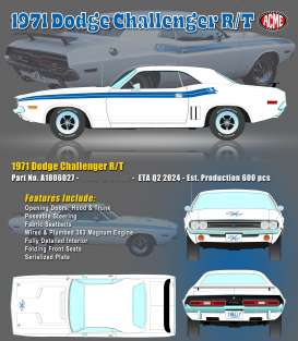 Dodge  - Challenger R/T 1971 white/blue - 1:18 - Acme Diecast - 1806027 - acme1806027 | The Diecast Company
