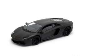 Lamborghini  - Aventador 2011 nemesis matt black - 1:18 - Welly - 18041Nemesis - welly18041bk | The Diecast Company