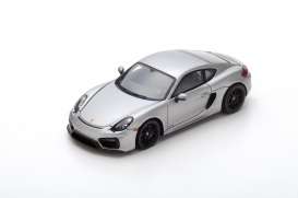 Porsche  - 2015 silver - 1:43 - Spark - s4940 - spas4940 | The Diecast Company