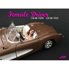 diorama Figures - 2017 black/silver - 1:24 - American Diorama - 77541 - AD77541 | The Diecast Company