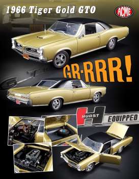 Pontiac  - GTO 1966 gold/black - 1:18 - Acme Diecast - acme1801208 | The Diecast Company