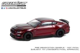 2019 Ford Mustang Shelby GT350R Orange Fury Metallic with Black Stripes Greenlight Muscle Series 22 1/64 Diecast Model Car by Greenlight 13250 F 