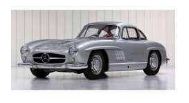 Mercedes Benz  - 300SL 1954 silver - 1:12 - Norev - 123850 - nor123850 | The Diecast Company