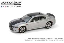 Dodge  - Charger 2018 silver/black - 1:64 - GreenLight - 30506 - gl30506 | The Diecast Company
