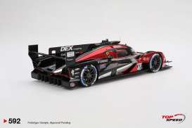 Acura  - ARX-06 GTP 2024 black/red - 1:18 - Top Speed - TS0592 - TS0592 | The Diecast Company