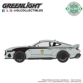 Ford  - Mustang 2024 grey - 1:64 - GreenLight - 30568 - gl30568 | The Diecast Company