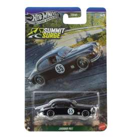 Assortment/ Mix  - Hill Climbers various - 1:64 - Hotwheels - GDG44 - hwmvGDG44-977S | The Diecast Company