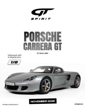Porsche  - Carrera GT 2003 silver - 1:8 - GT Spirit - GTS803101 - GTS803101 | The Diecast Company