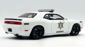 Dodge  - Challenger  SRT 8 2010 white - 1:18 - Acme Diecast - 1806035 - acme1806035 | The Diecast Company